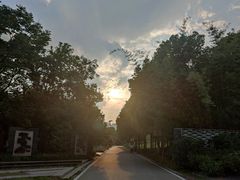 -武汉园博园(武汉自然博物馆)