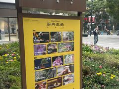 -瑞虹新天地月亮湾