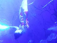 -多彩贵州城极地海洋世界