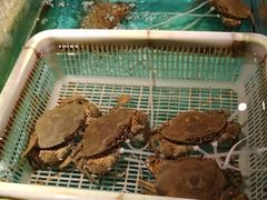 -拉完海鲜大排档(温岭店)