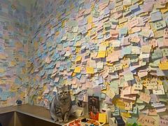 -H立方实景剧情密室(天河旗舰店)