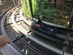 -圣淘沙天际线斜坡滑车