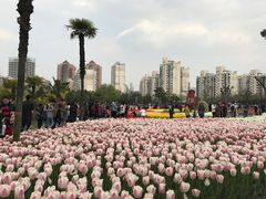 -大宁灵石公园西门票处