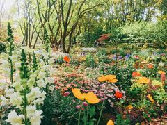 -上海共青森林公园