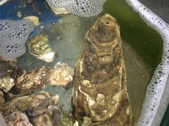 -晓伟海鲜家常菜