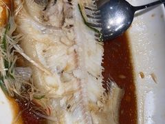 -金狮麟·新豫菜(金码大厦店)