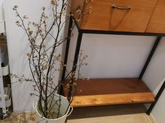 -禅悦素食