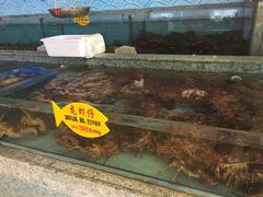 -快乐海鲜城(虎泉街店)