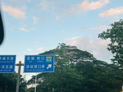 -深圳湾公园(南山区)