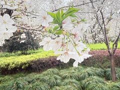 -徐家汇源景区-衡山公园