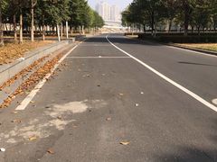 -南京奥林匹克体育中心-体育馆