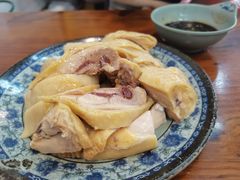 -九斤黄三黄鸡专卖店