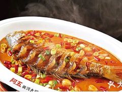 -阿五黄河大鲤鱼(纬三路店)