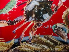 -大锅强·蒸海鲜青岛菜(吾悦广场店)