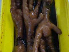 -卤儿道道(经纬店)