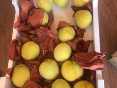 -南汇新场正宗水蜜桃采摘