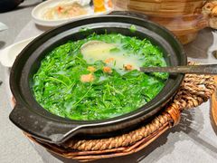 -湯記傳菜