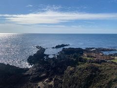 -涉地可支