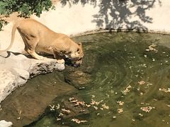 -石家庄市动物园