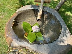 -新荣记(西溪湿地店)