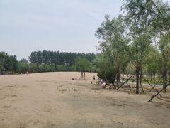 -东郊湿地公园