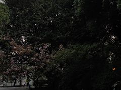 -棠湖公园