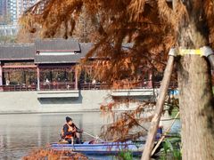 -重庆彩云湖湿地公园