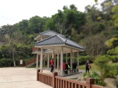 -火炉山森林公园