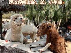 -北京野生动物园