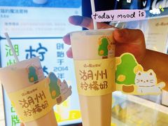 柠檬奶-猫的魔法密林(衣裳街店)