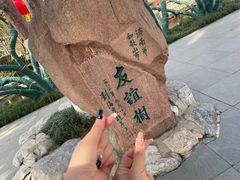 -趵突泉景区