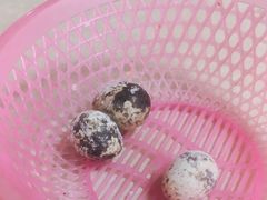 -瘦鬼老档糖水铺