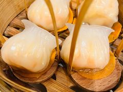 -金鼎轩(方庄天坛店)