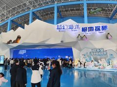 -泉城欧乐堡海洋极地世界