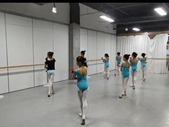 -舞蕾舞蹈(特长生校区)