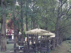 -瑞穗牧场