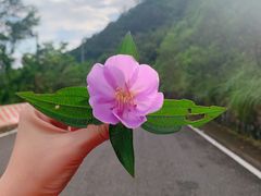 -东部华侨城
