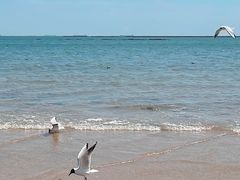 -金梦海湾浴场
