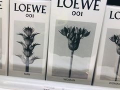 -LOEWE罗意威(北京SKP女装店(一层))