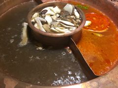 -滇釜火锅·能喝汤的火锅(车公庄店)