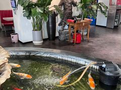 -裕丰源滋补烩面(天赋路店)