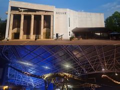 -世界恐龙谷景区