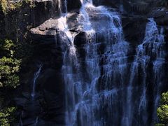 -海南热带雨林国家公园吊罗山景区