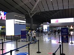 -张家界荷花国际机场航站楼-国内出发