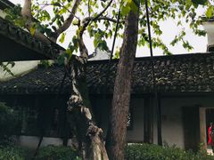 -乌镇东栅景区-江南百床馆