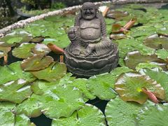 -都江堰普照寺