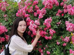 -江苏三台山国家森林公园