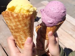 -Patagonia Chocolates(皇后镇店)