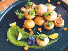 羞羞的蘑菇拳-烛影拾光观景餐厅·创意菜·摄影·小提琴(大唐不夜城店)