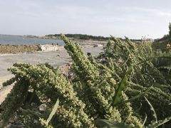 -青岛银沙滩